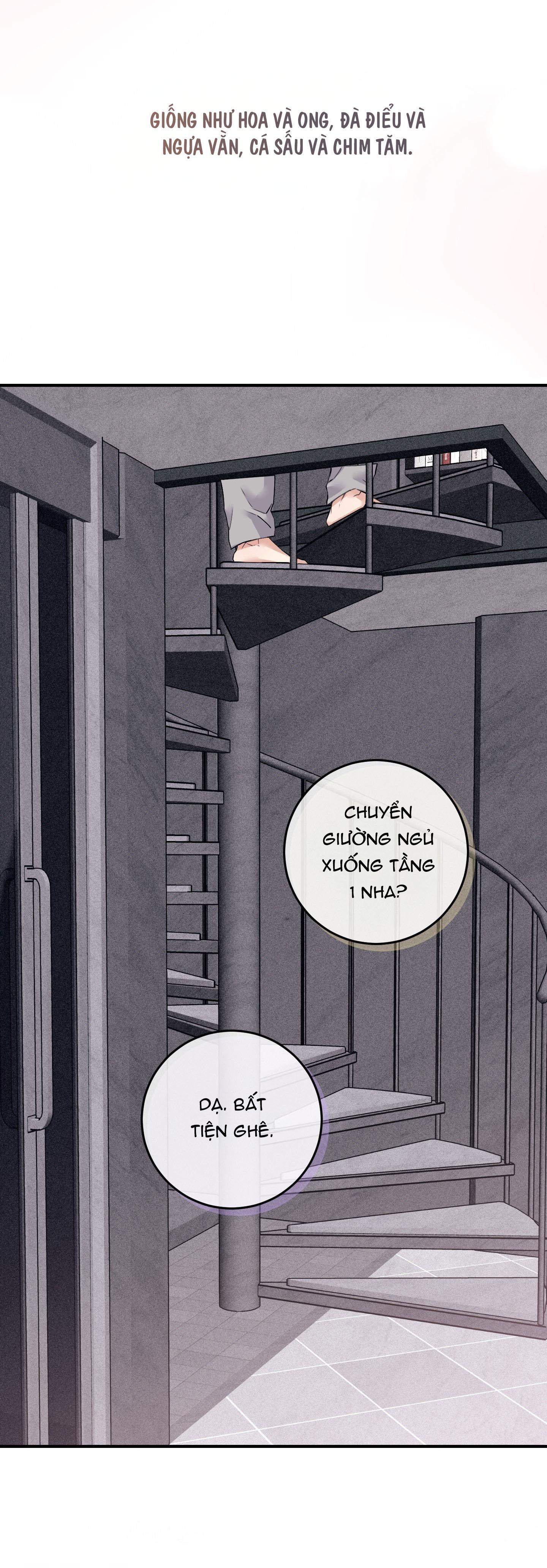 QUAN HỆ CỘNG SINH GIỮA TRỜI VÀ TRĂNG Chapter 60 - Trang 3