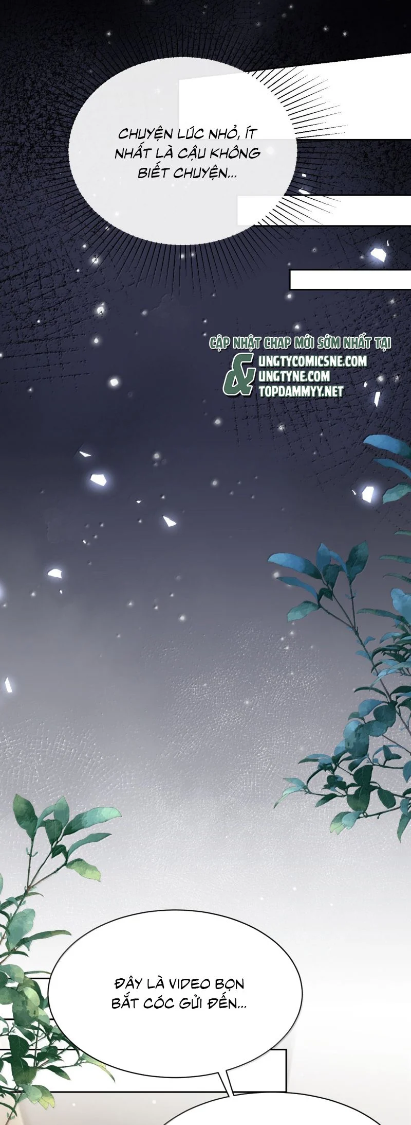 Quan Hệ Thế Thân Chapter 203 - Trang 2