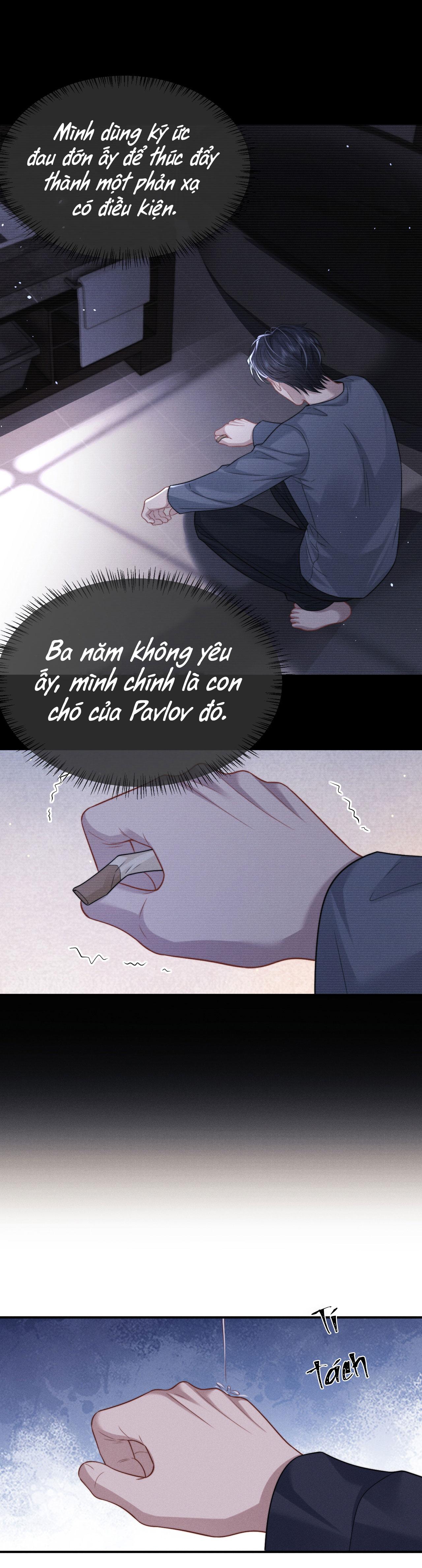 Chấp Sự Thỏ Tai Cụp Chapter 161 - Next 