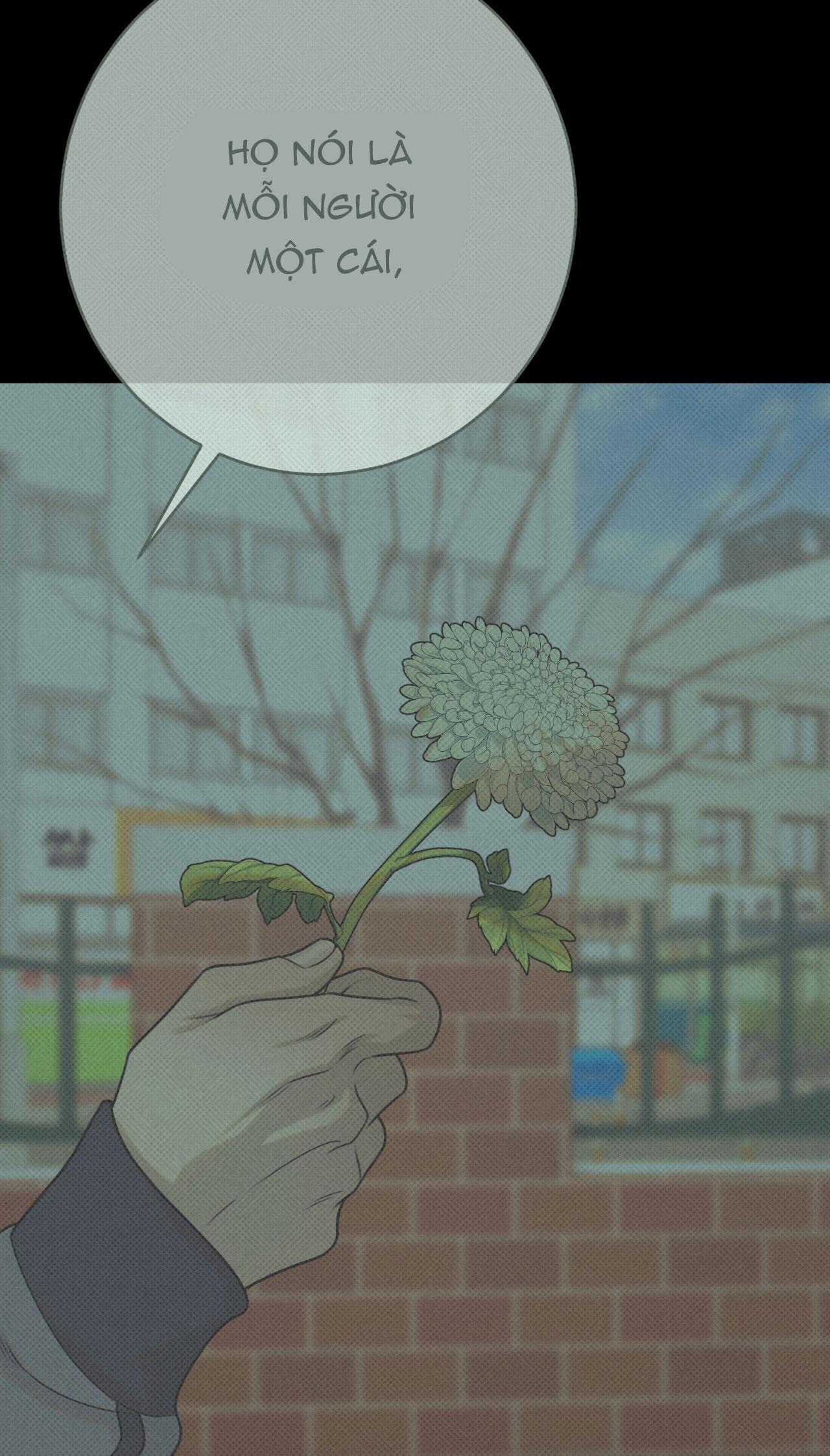 Quẻ Bói Giấc Mơ Của Yêu Tinh Chapter 52 - Trang 3