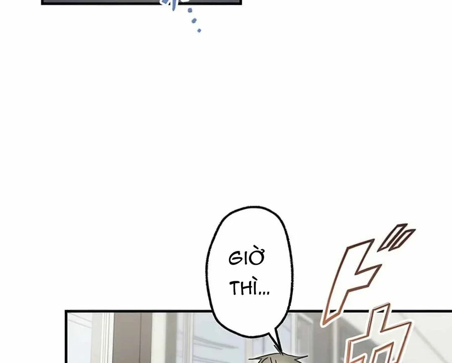 Quý Tộc Báo Thù Chapter 17 - Trang 3