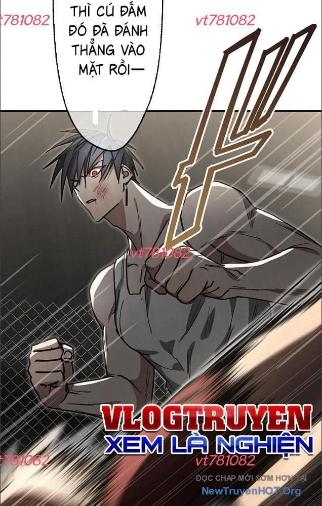 Quý Tộc Báo Thù Chapter 25 - Trang 2