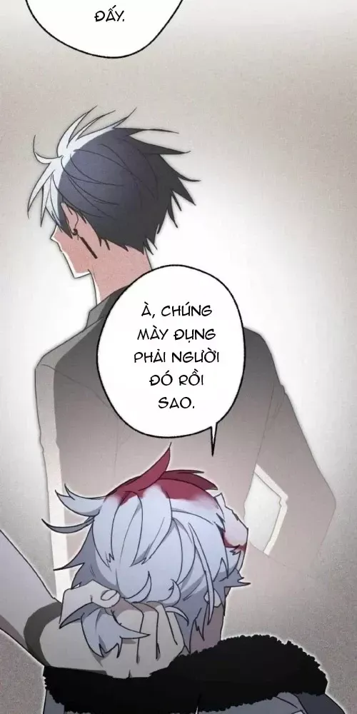 Quý Tộc Báo Thù Chapter 46 - Next 