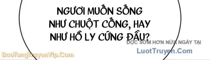 Quyền Vương Phục Sinh Chapter 22 - Trang 2
