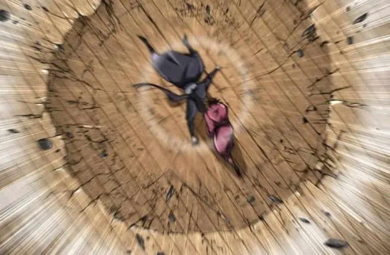 Quyền Vương Phục Sinh Chapter 24 207