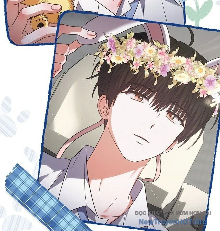 Ra Mắt Hay Ra Đi Chapter 79 - Trang 2