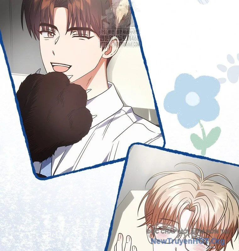 Ra Mắt Hay Ra Đi Chapter 79 - Trang 2