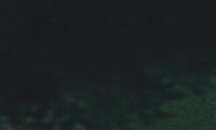 Ra Mắt Hay Ra Đi Chapter 96 - Trang 2