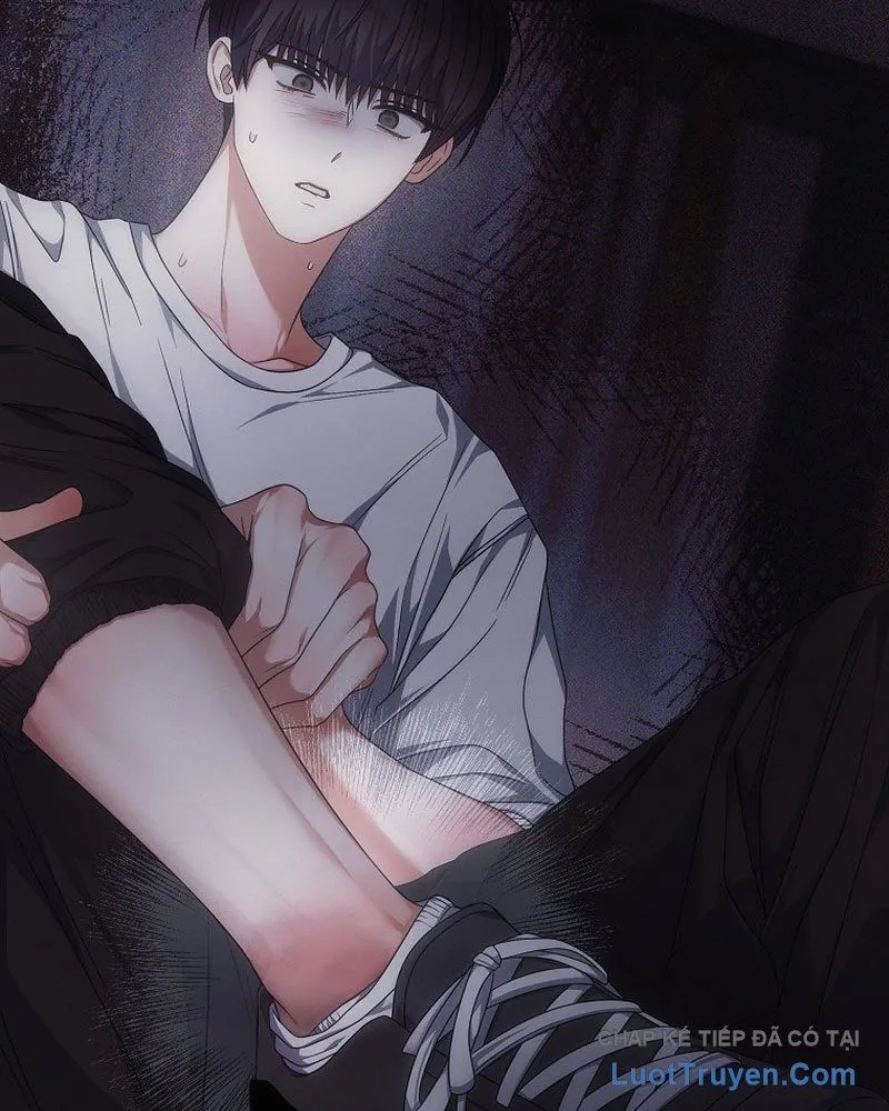 Ra Mắt Hay Ra Đi Chapter 98 - Trang 2