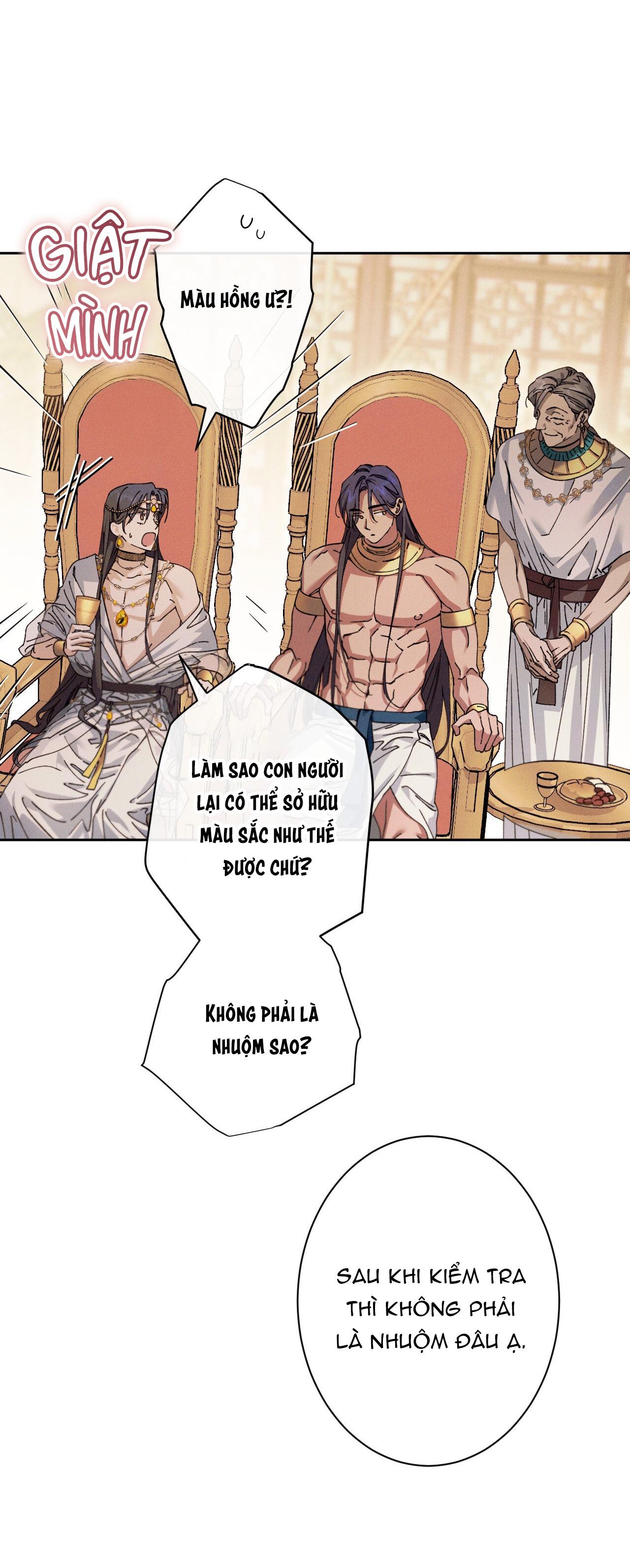 RẮN NUỐT LỰU Chapter 2 26