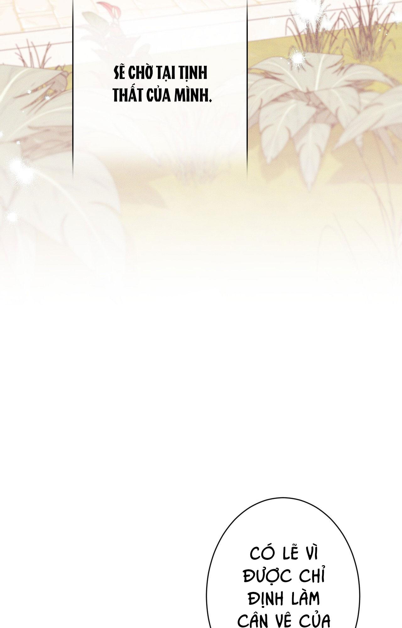 RẮN NUỐT LỰU Chapter 22 - Trang 3