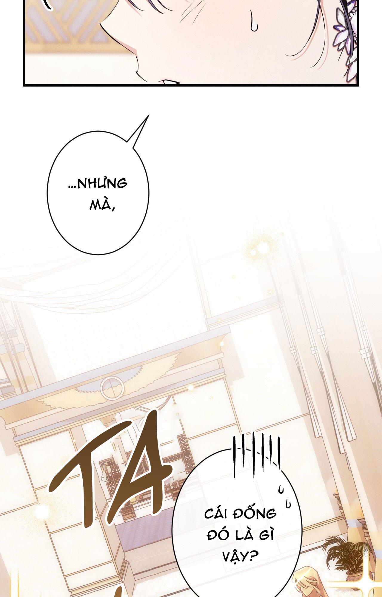 RẮN NUỐT LỰU Chapter 22 - Trang 3