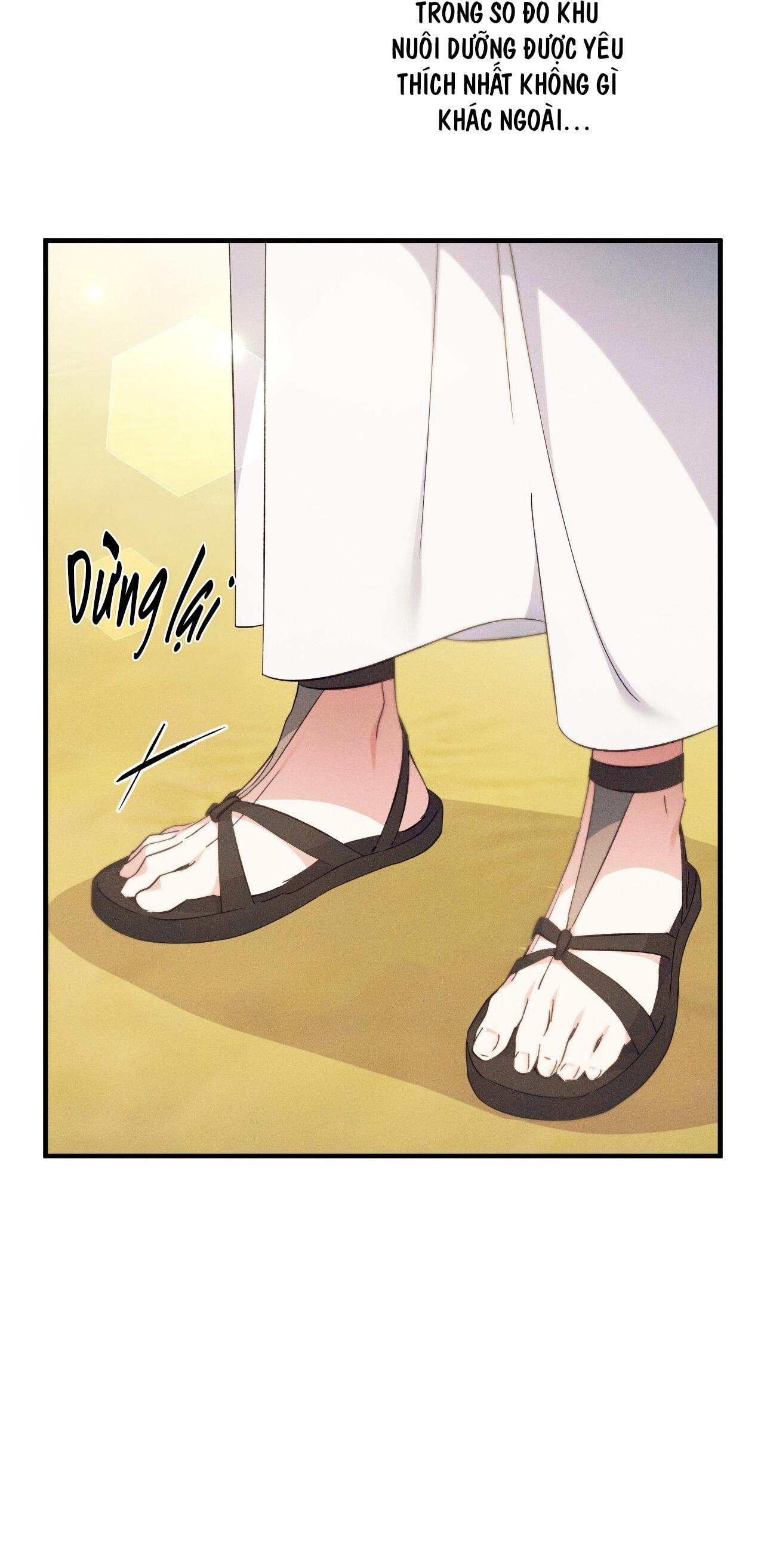 RẮN NUỐT LỰU Chapter 23 4