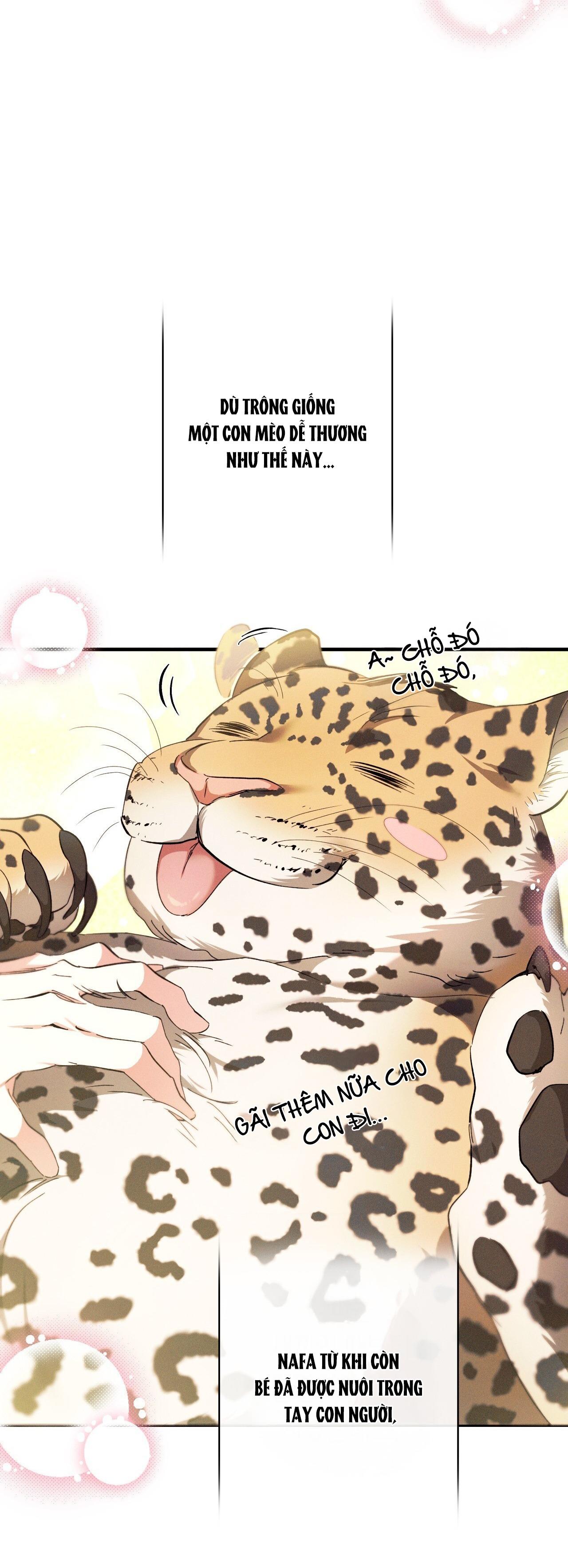 RẮN NUỐT LỰU Chapter 23 18