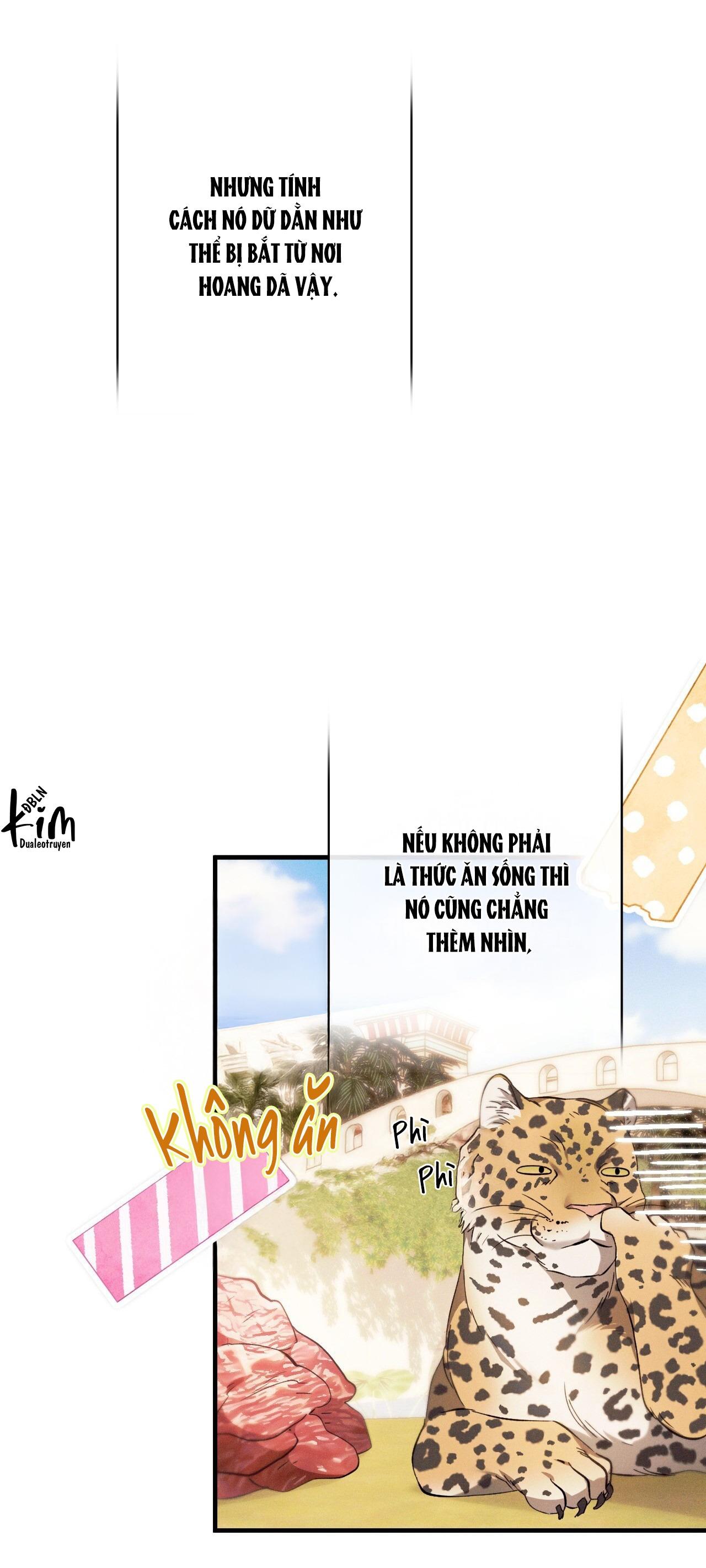 RẮN NUỐT LỰU Chapter 23 19