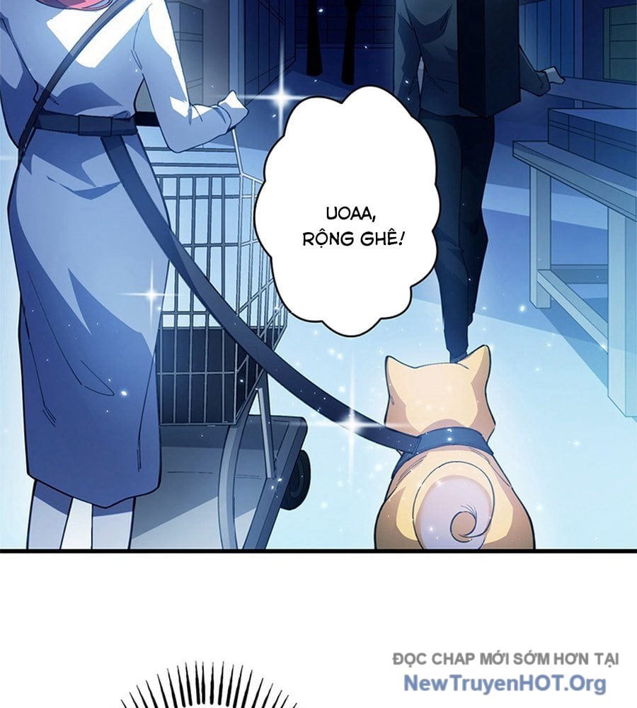 Ranker Sss Được Chọn Chapter 10 61