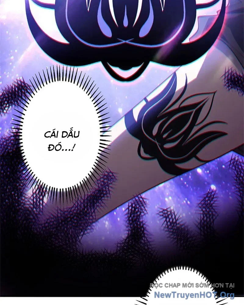 Ranker Sss Được Chọn Chapter 11 7