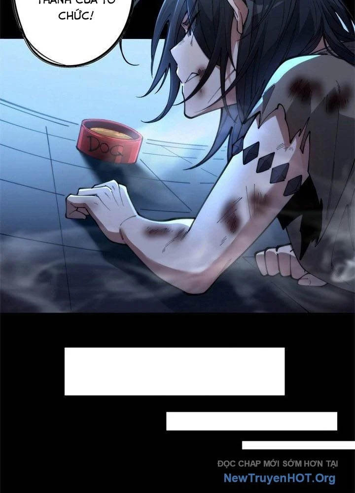 Ranker Sss Được Chọn Chapter 2 18