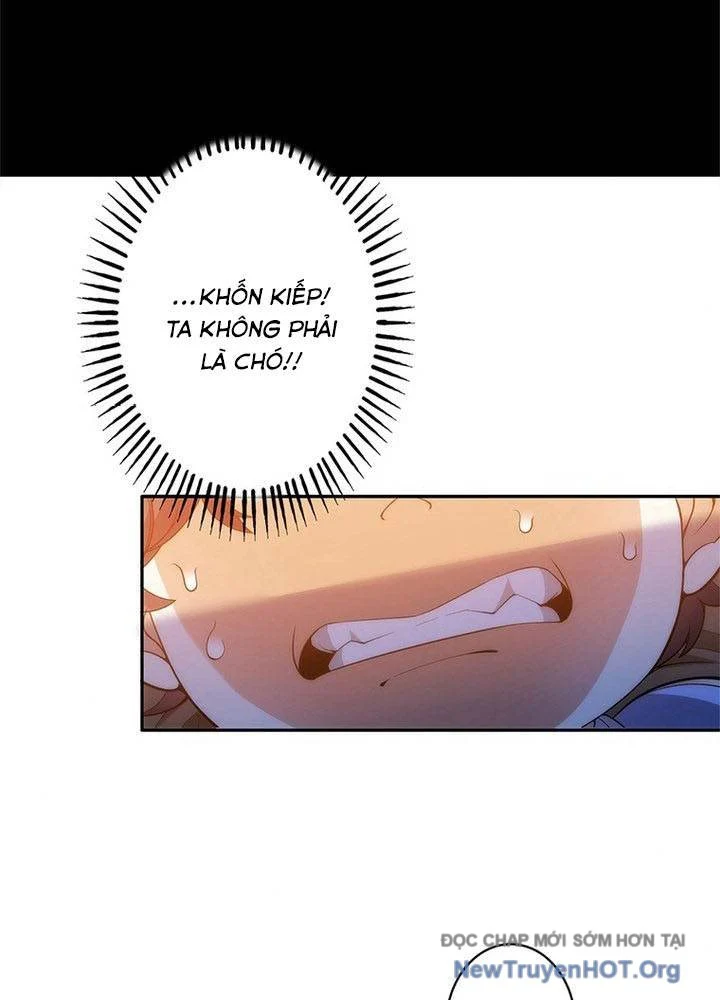 Ranker Sss Được Chọn Chapter 2 19