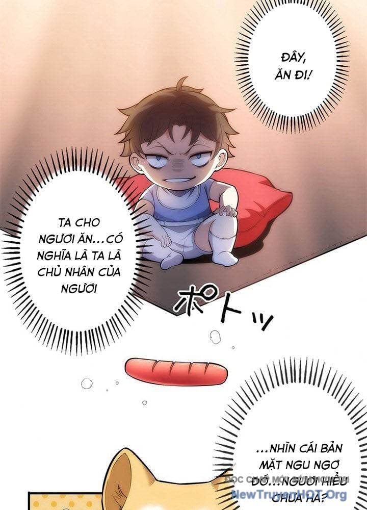Ranker Sss Được Chọn Chapter 2 43