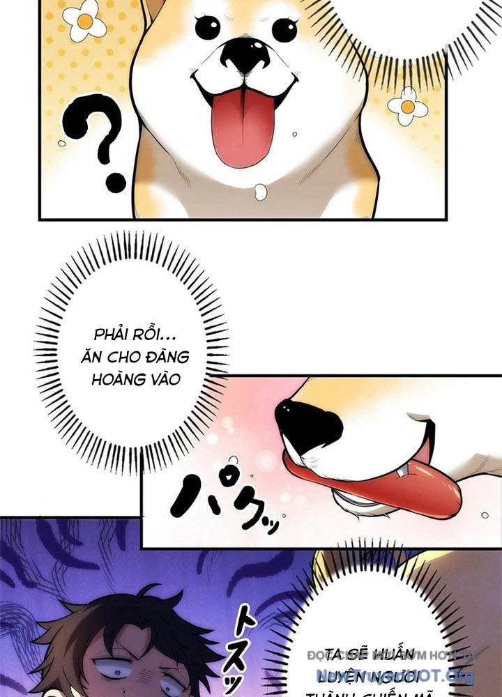 Ranker Sss Được Chọn Chapter 2 44