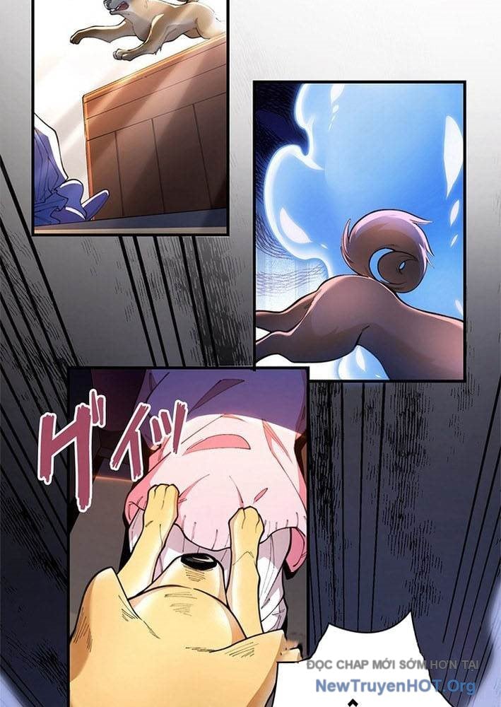 Ranker Sss Được Chọn Chapter 3 5