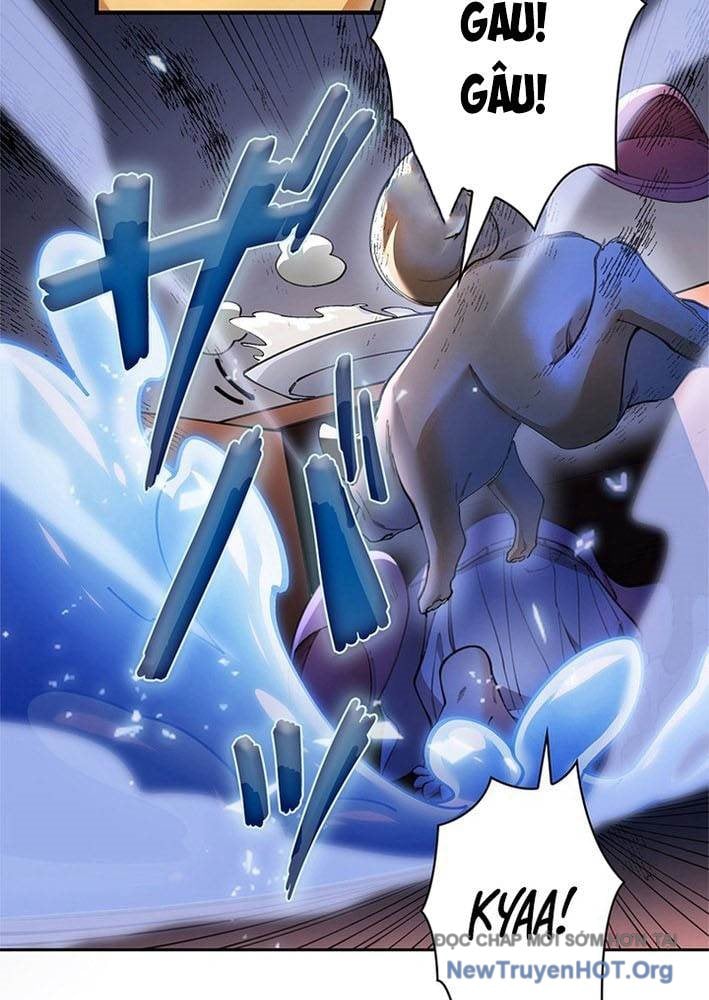 Ranker Sss Được Chọn Chapter 3 6