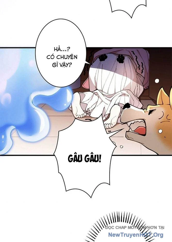 Ranker Sss Được Chọn Chapter 3 7