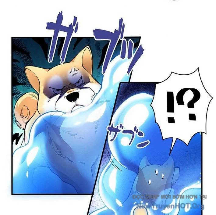Ranker Sss Được Chọn Chapter 3 10