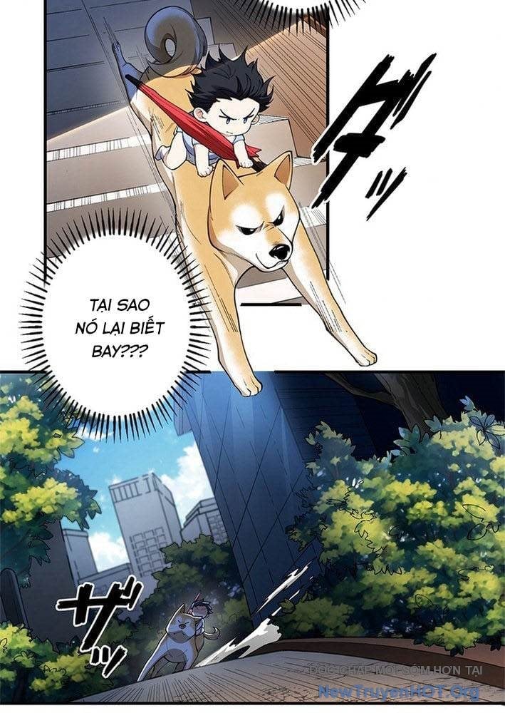 Ranker Sss Được Chọn Chapter 3 35