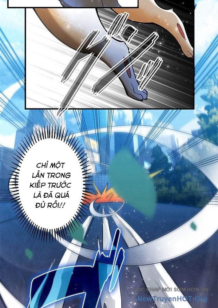 Ranker Sss Được Chọn Chapter 3 41