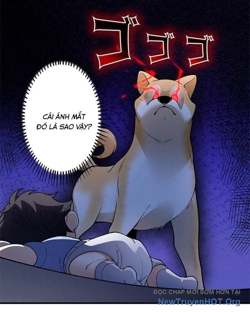 Ranker Sss Được Chọn Chapter 4 27