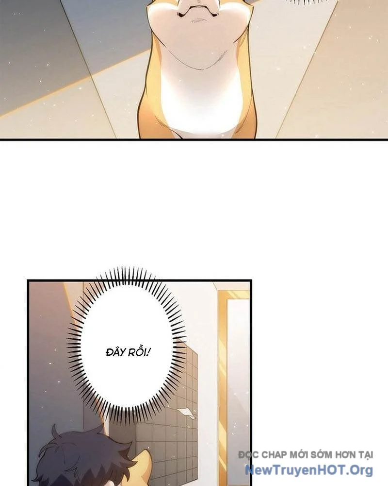 Ranker Sss Được Chọn Chapter 5 37