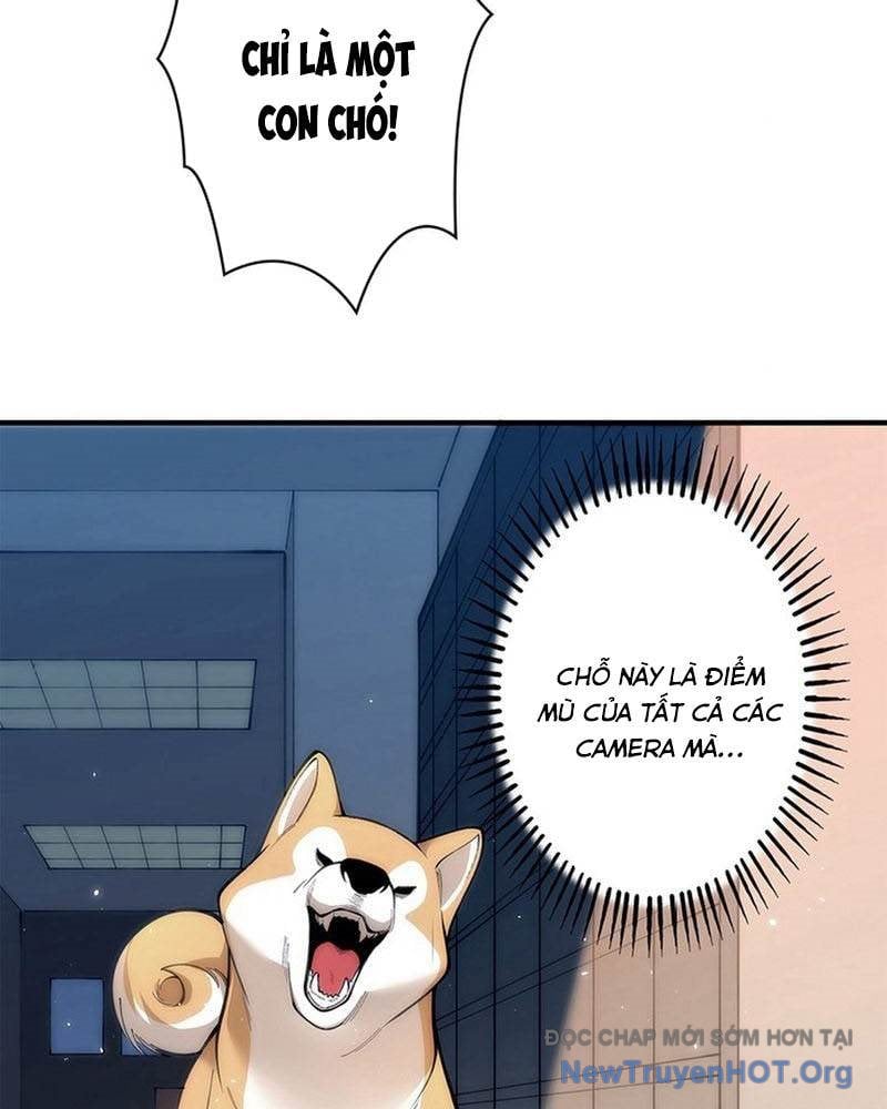 Ranker Sss Được Chọn Chapter 5 49