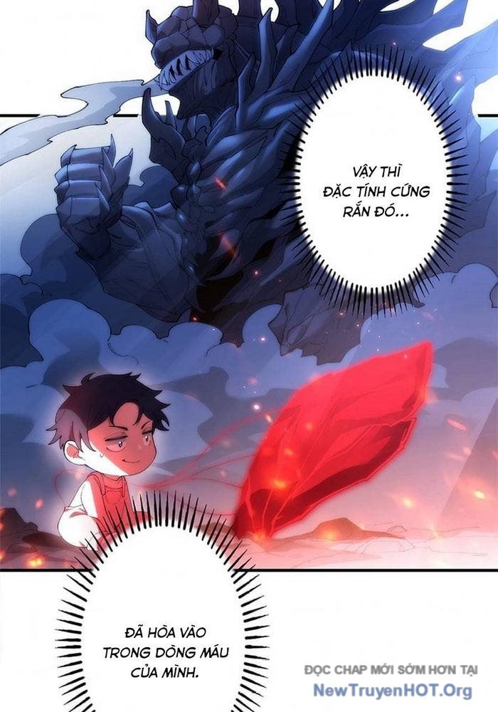 Ranker Sss Được Chọn Chapter 8 14