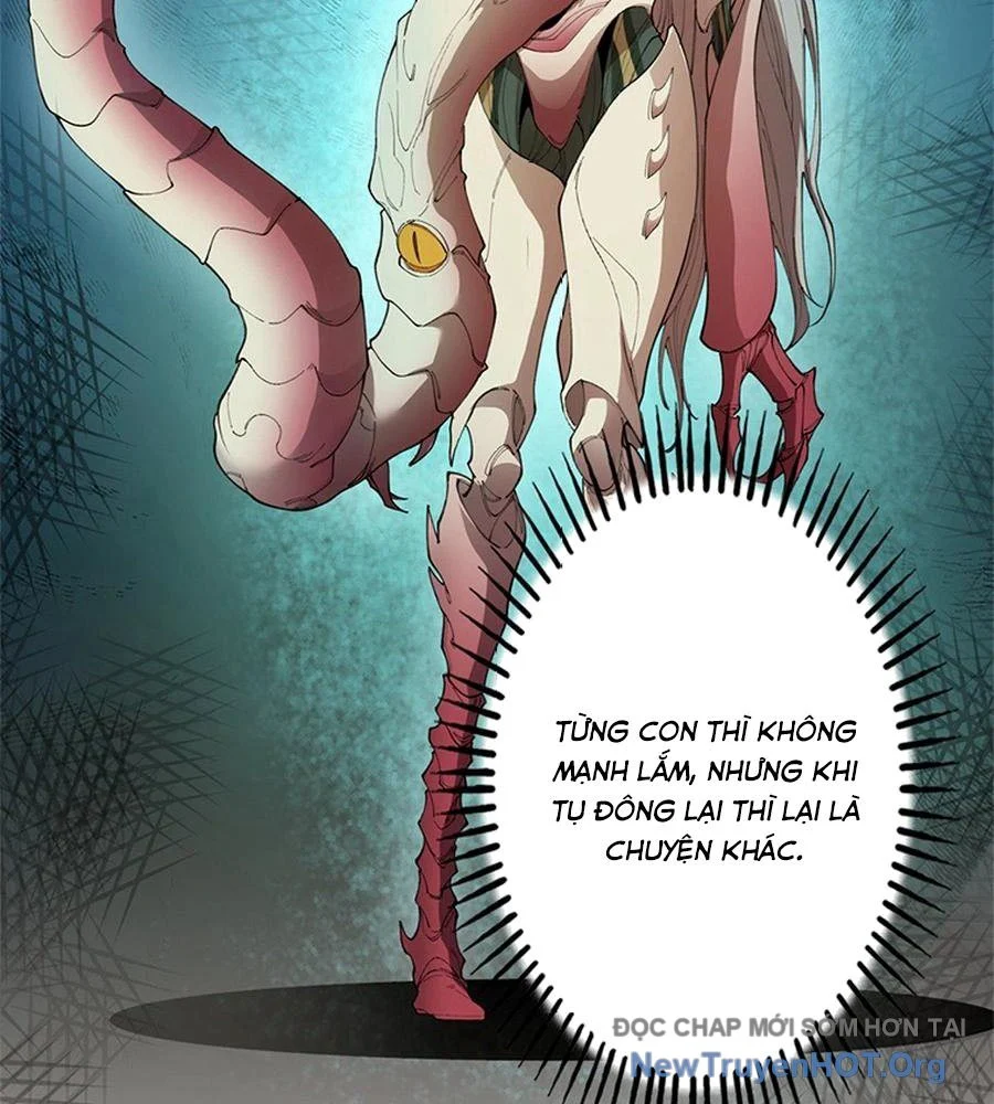 Ranker Sss Được Chọn Chapter 9 15
