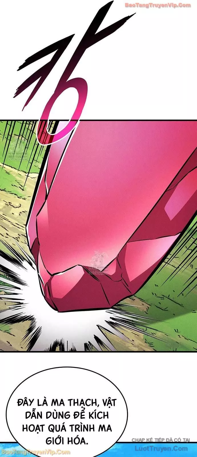 Ranker Tái Xuất Chapter 225 - Trang 2