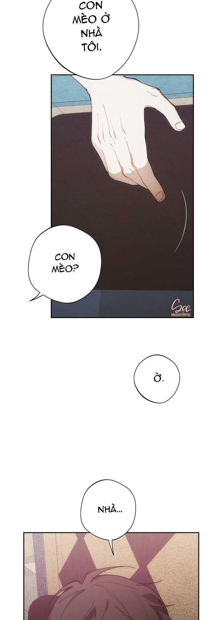 RED MANSION Chapter 49 - Trang 3