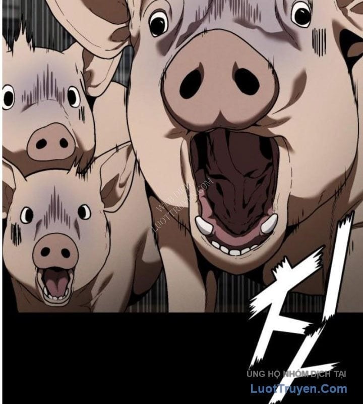 Rỉ Sét Chapter 45 - Trang 2