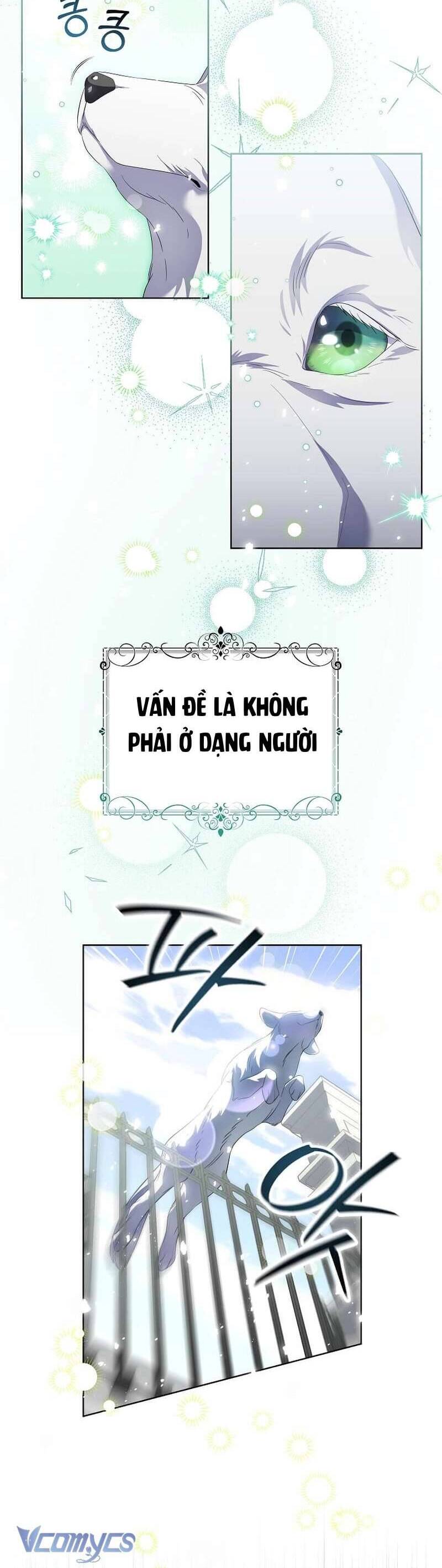 Sa Vào Vòng Tay Của Nam Chính Dịu Dàng Nhưng Chiếm Hữu Chap 13 - Trang 3
