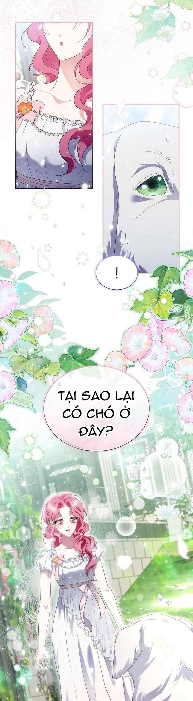 Sa Vào Vòng Tay Của Nam Chính Dịu Dàng Nhưng Chiếm Hữu Chap 13 - Trang 3