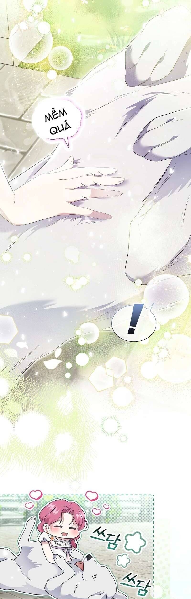 Sa Vào Vòng Tay Của Nam Chính Dịu Dàng Nhưng Chiếm Hữu Chap 14 - Trang 3