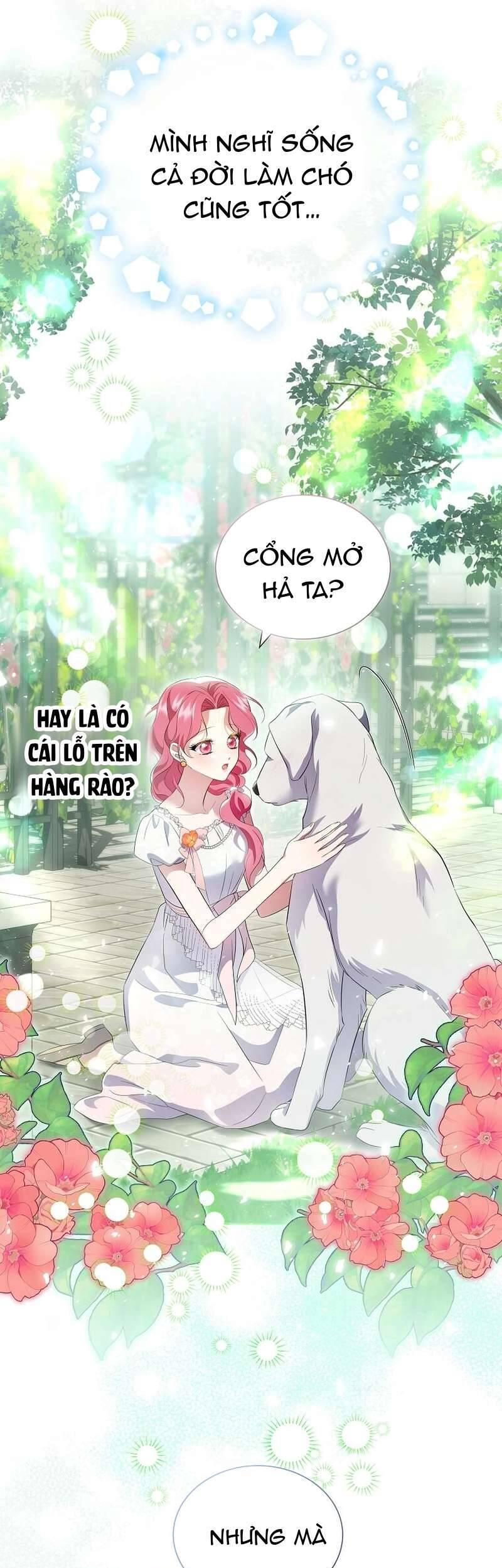Sa Vào Vòng Tay Của Nam Chính Dịu Dàng Nhưng Chiếm Hữu Chap 14 - Trang 3