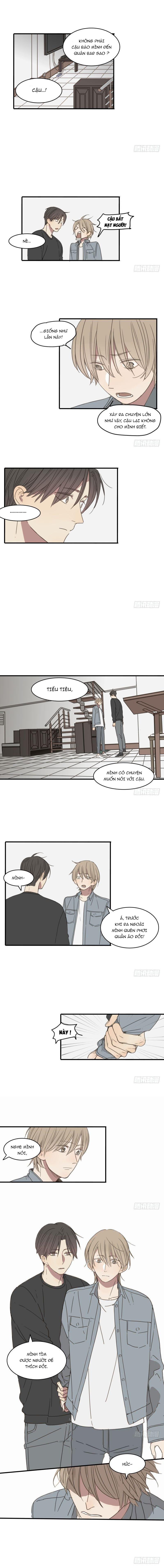 Sắc Thái Trầm Lặng Chapter 16 - Trang 2