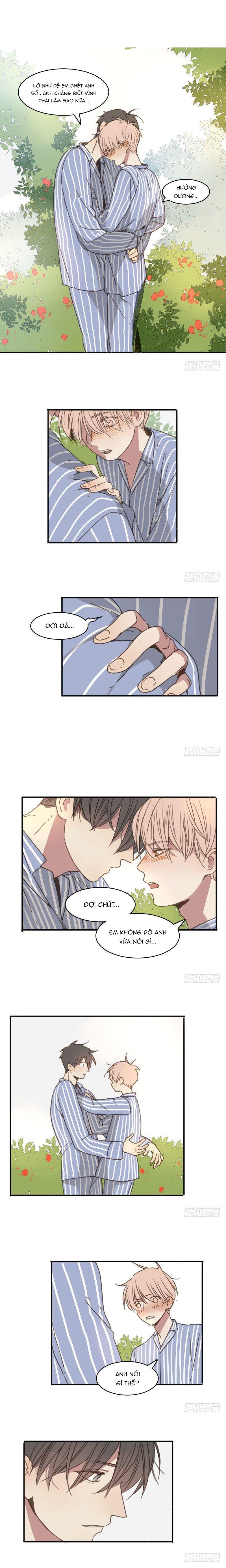 Sắc Thái Trầm Lặng Chapter 19 - Trang 2