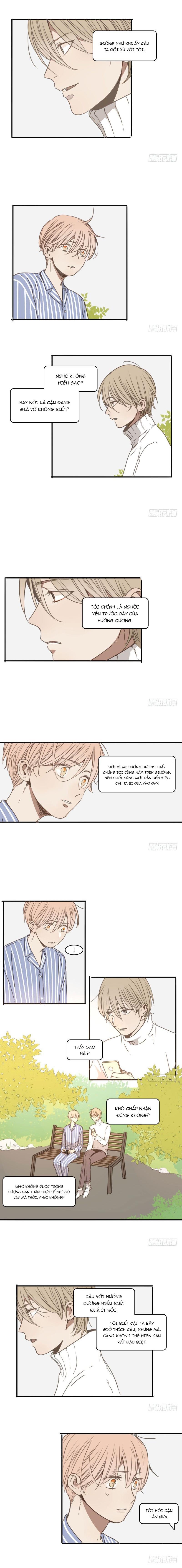 Sắc Thái Trầm Lặng Chapter 23 - Trang 2
