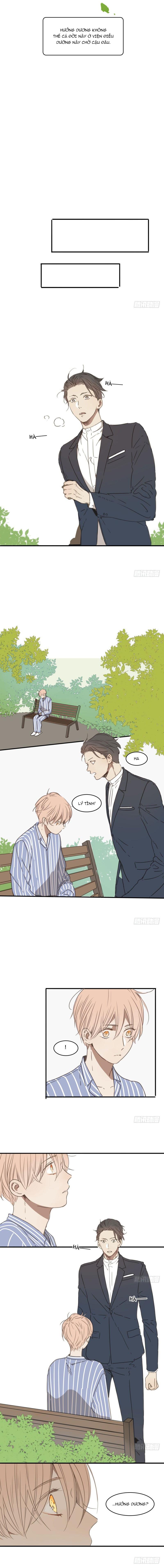 Sắc Thái Trầm Lặng Chapter 23 - Trang 2