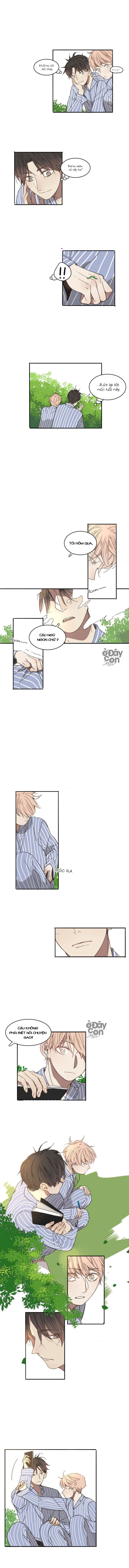 Sắc Thái Trầm Lặng Chapter 7 - Trang 2