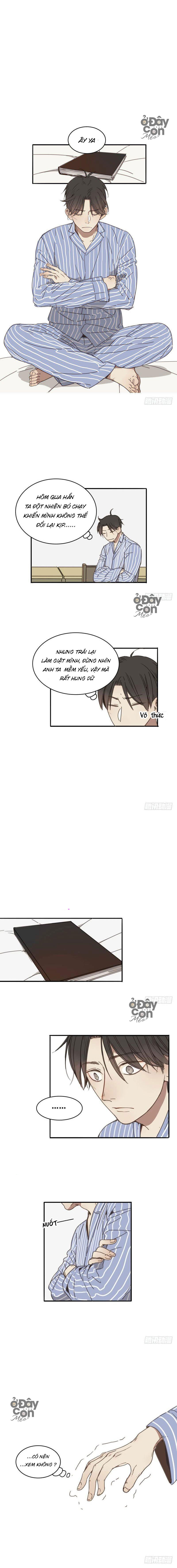 Sắc Thái Trầm Lặng Chapter 8 - Trang 2