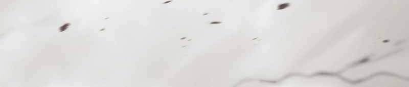 Sát Thủ Mạnh Nhất Chuyển Sinh Sang Thế Giới Khác Chapter 55 - Next Chapter 56